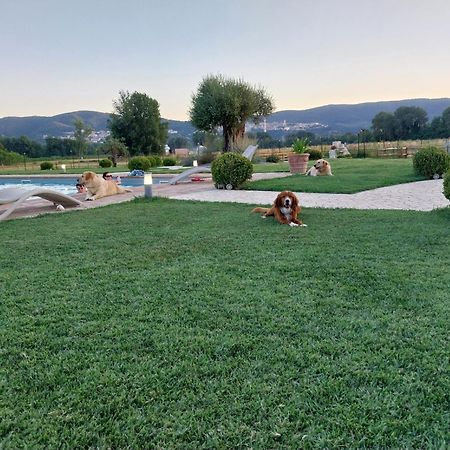 Agriturismo Tenuta Filippi Narni Ngoại thất bức ảnh