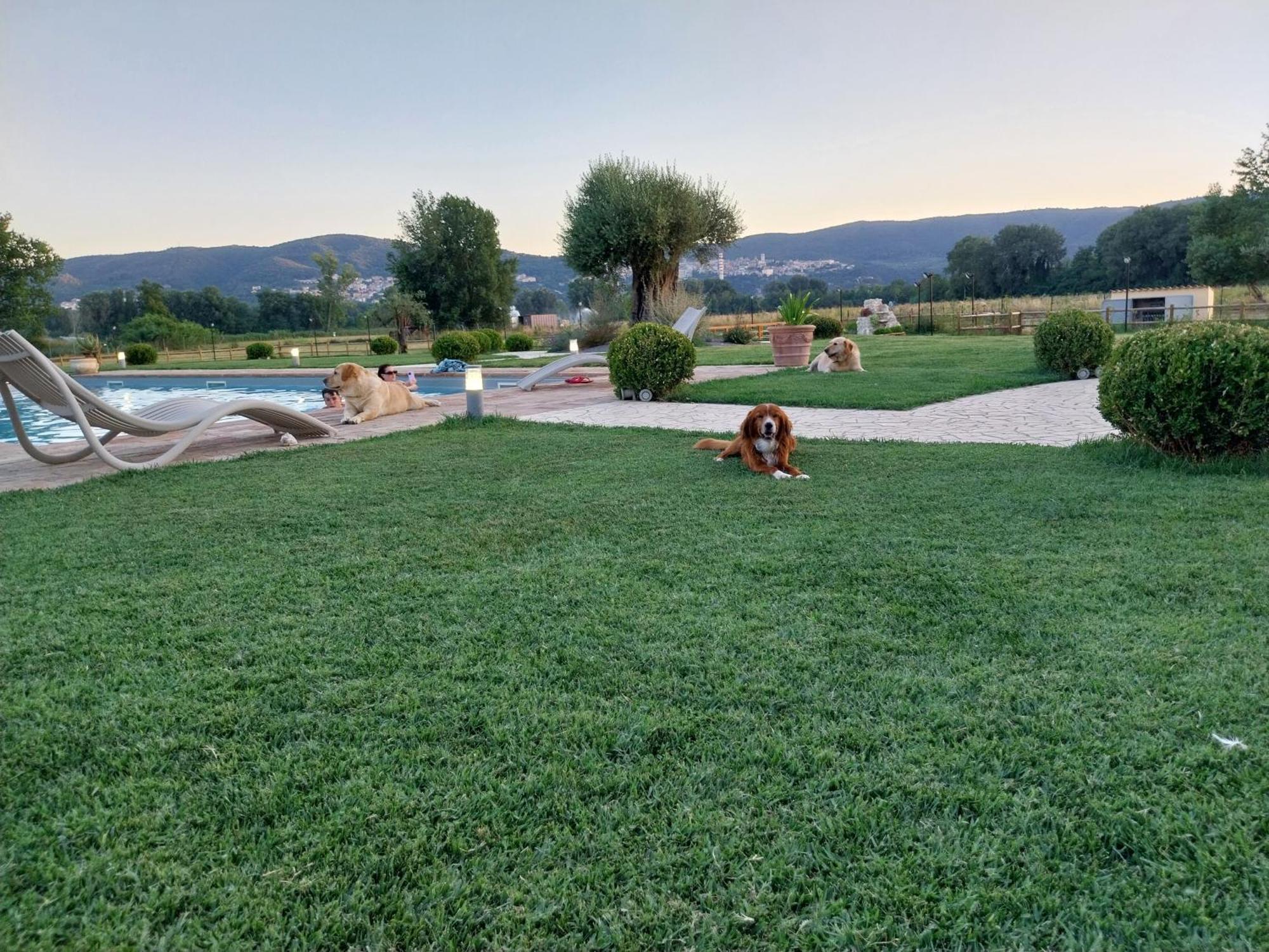 Agriturismo Tenuta Filippi Narni Ngoại thất bức ảnh