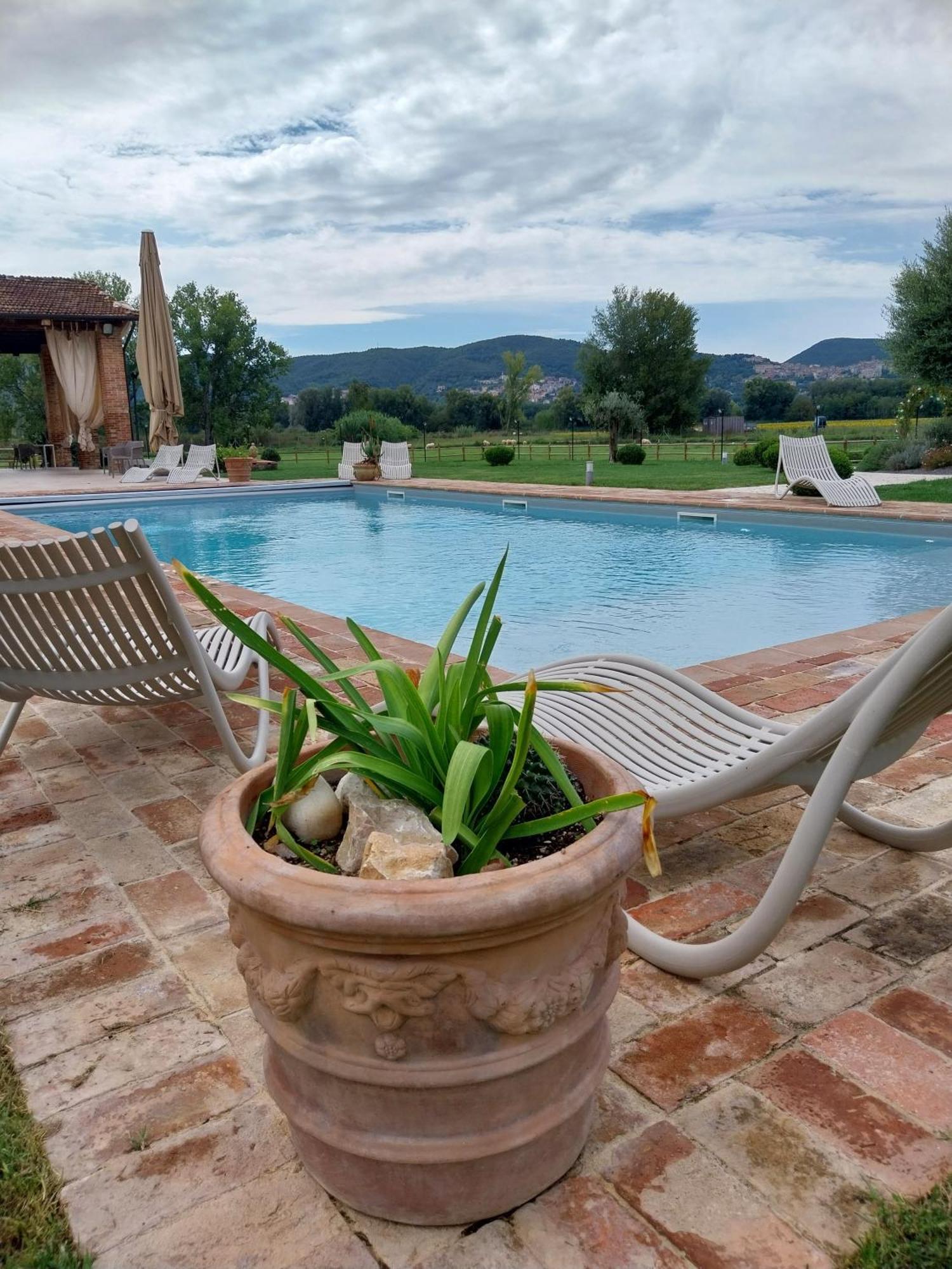 Agriturismo Tenuta Filippi Narni Ngoại thất bức ảnh