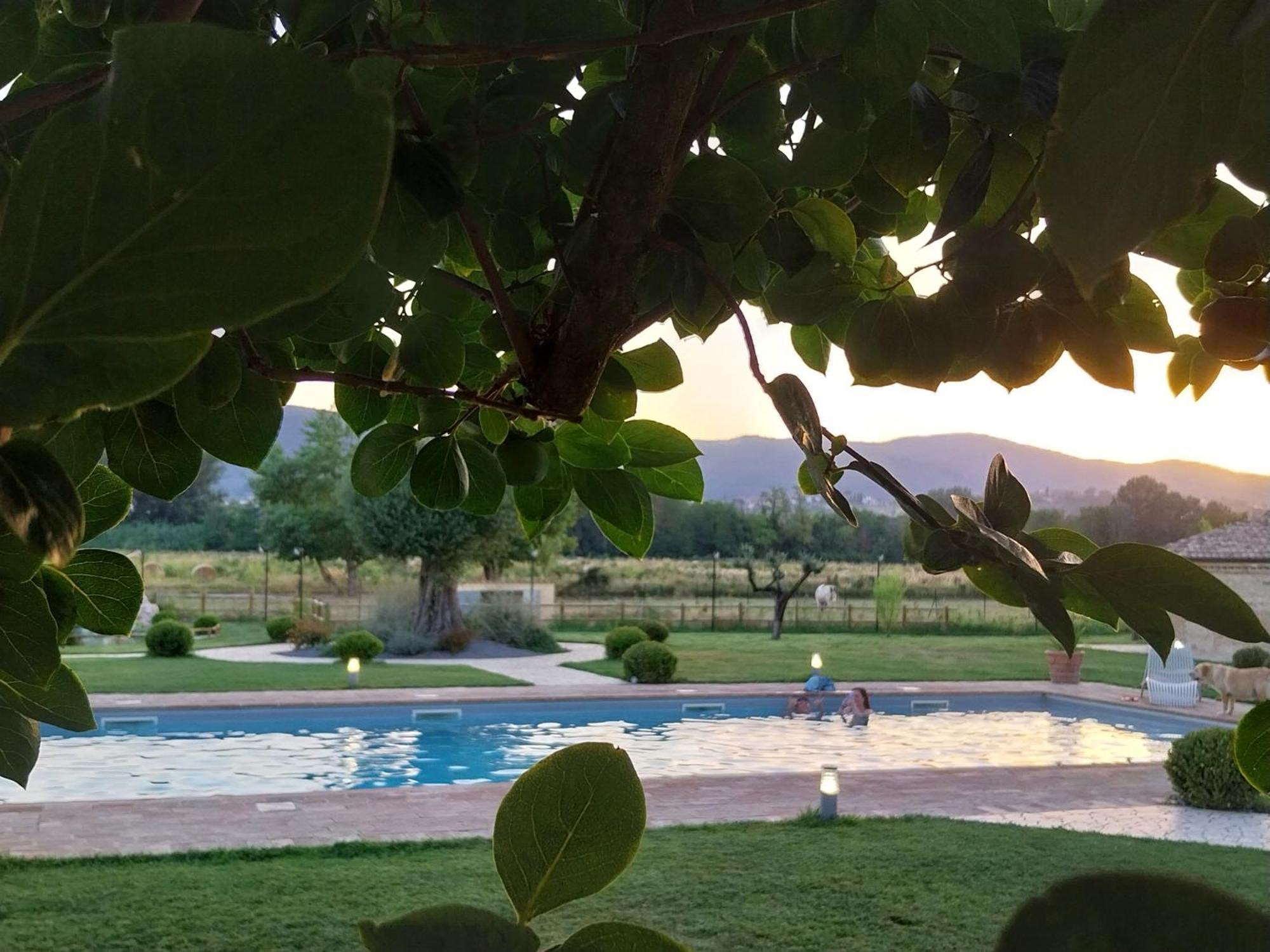 Agriturismo Tenuta Filippi Narni Ngoại thất bức ảnh